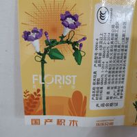 积木牵牛花