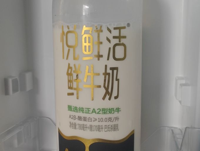 悦鲜活低温牛奶
