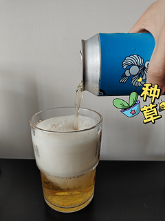 道酿—腾云比利时小麦witbier啤酒