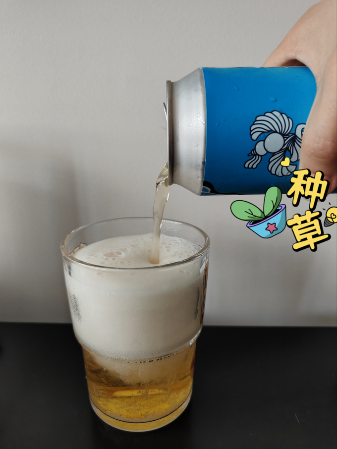 道酿啤酒