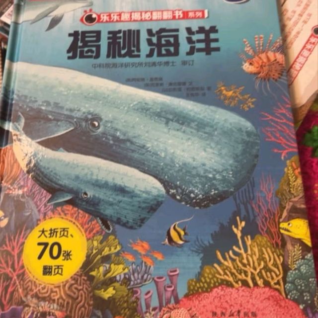 揭秘海洋领略大自然风采！