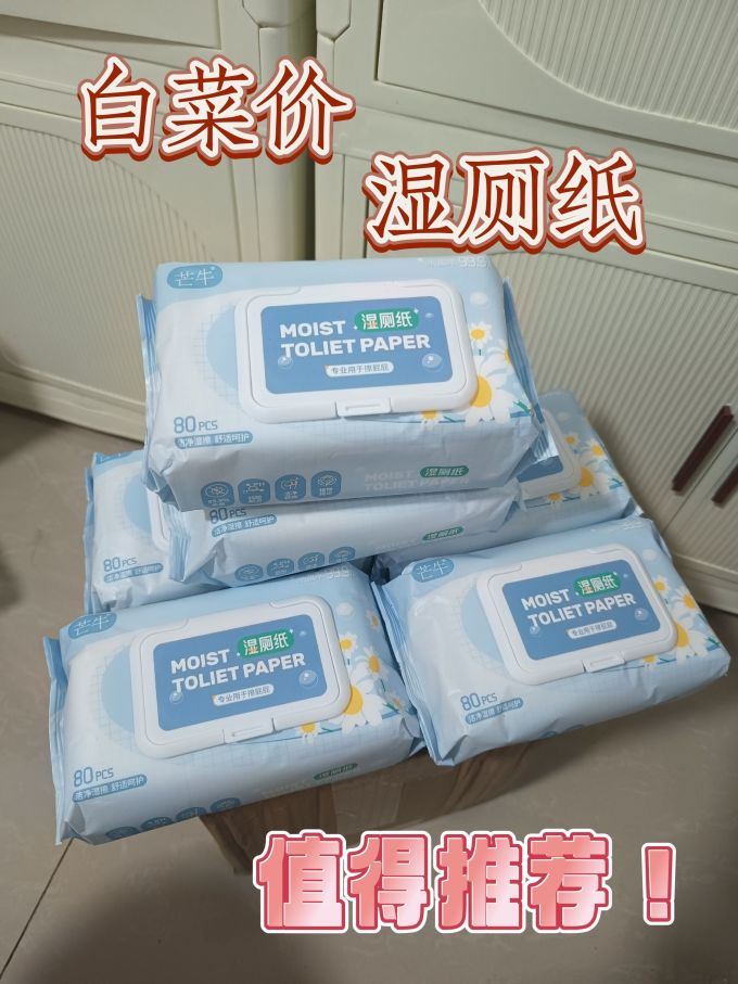 湿厕纸