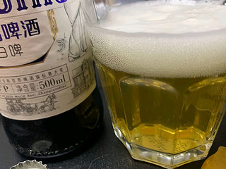 🎉青岛啤酒全麦白啤来啦！🍺