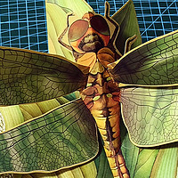 《昆虫立体书》：带孩子走进不可思议的昆虫世界