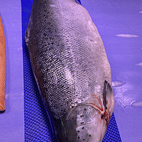 新西兰三文鱼为什么贵？