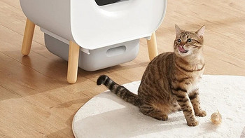 智能猫砂盆：让猫咪也有自己的马桶
