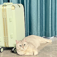 暑假出游行李箱不可少，小馒头也想去旅游！