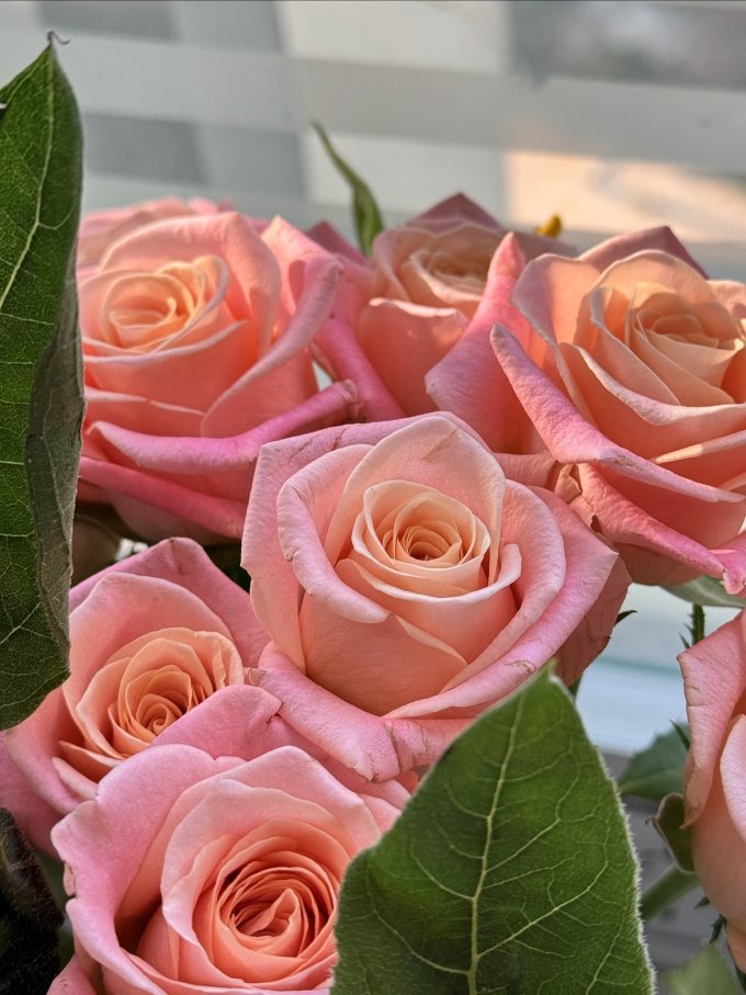 钟爱鲜花