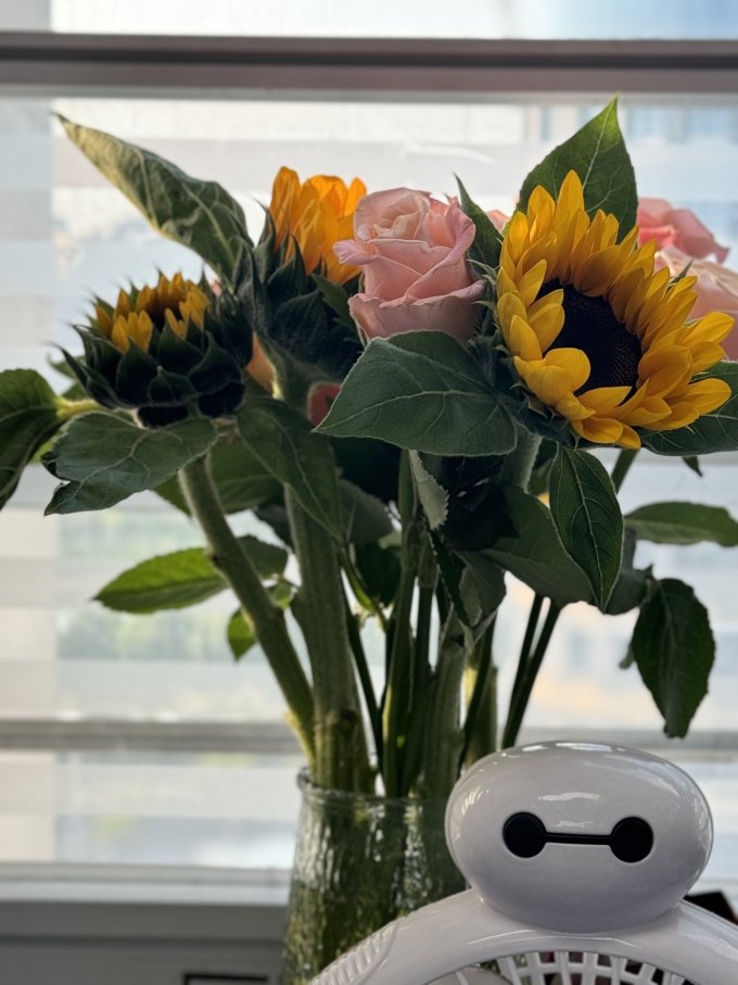 钟爱鲜花