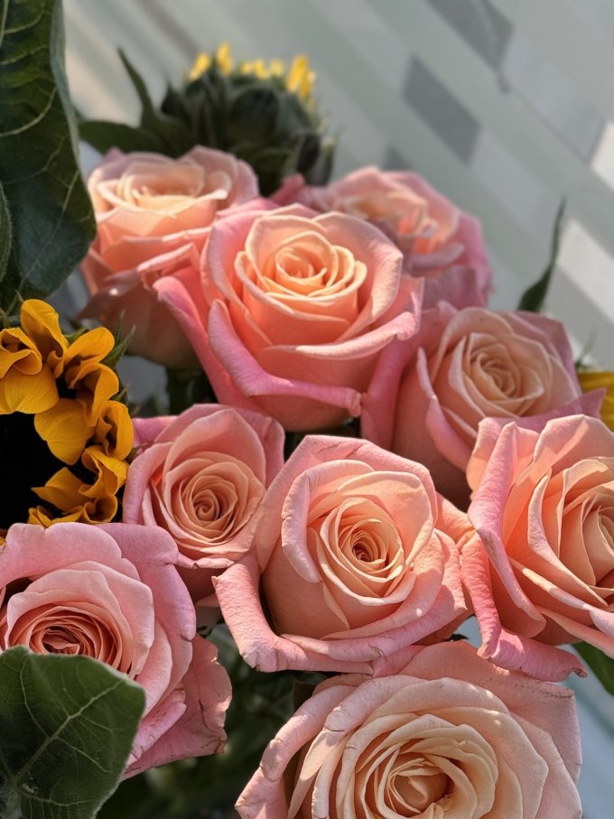 钟爱鲜花
