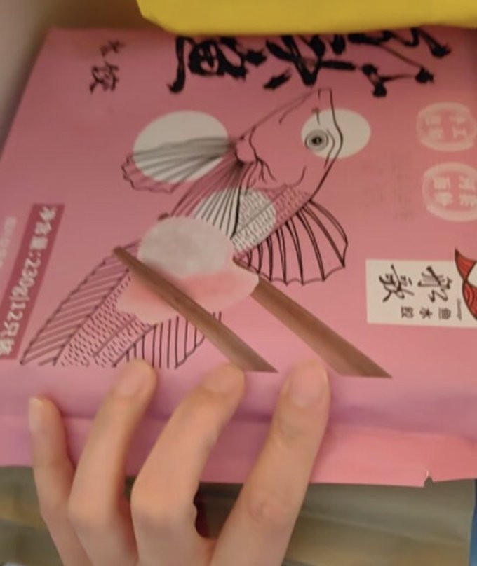 船歌鱼水饺水饺/馄饨