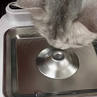 小甜橙猫咪饮水机流动水不插电宠物无线消毒杀菌恒温加热喝水器狗