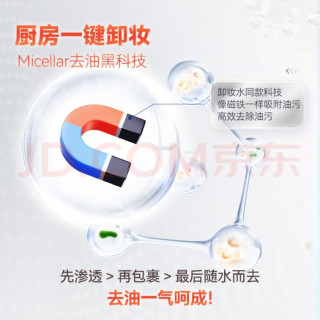 告别油腻，元气柠檬的魔力！
