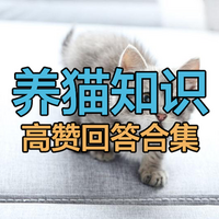 2024年减肥猫粮推荐｜6款低脂肪低热量适合肥胖猫咪的高口碑猫粮推荐