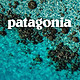  【何必始祖鸟】22.6$就能买到巴塔高性能速干，巴塔哥尼亚Patagonia Ridge Flow短袖T恤 评测　