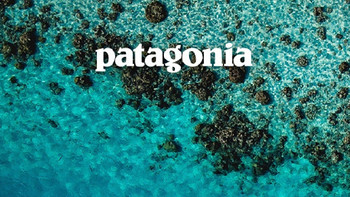 【何必始祖鸟】22.6$就能买到巴塔高性能速干，巴塔哥尼亚Patagonia Ridge Flow短袖T恤 评测