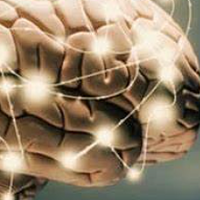 大脑老化有什么症状，防止大脑退化的方法有哪些？