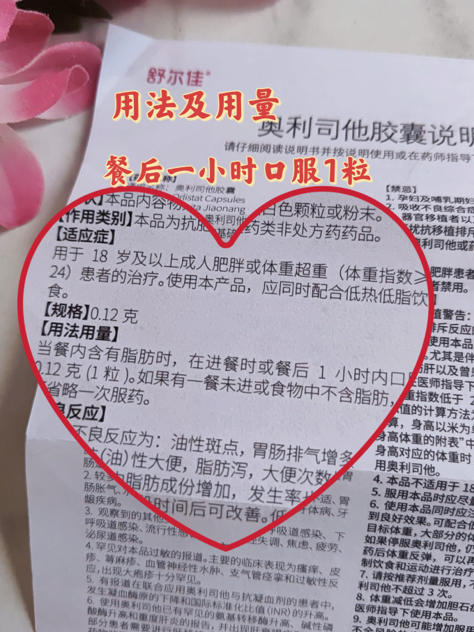舒尔佳消化系统