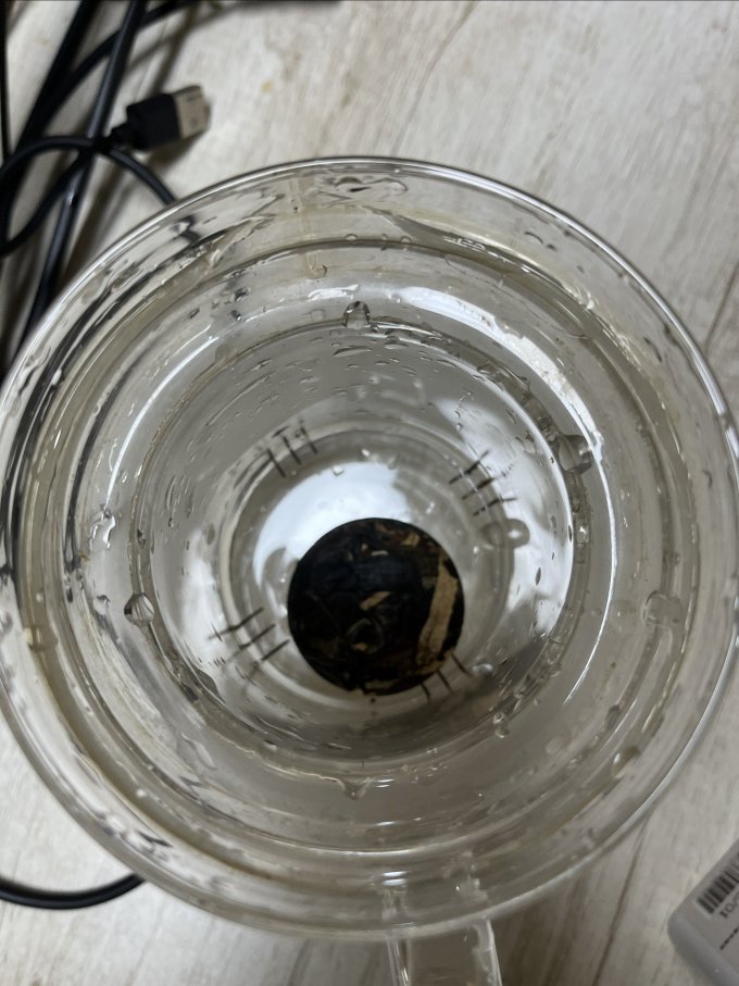 福茗源白茶