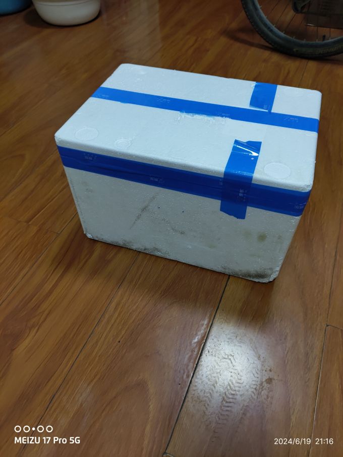 恒都牛肉