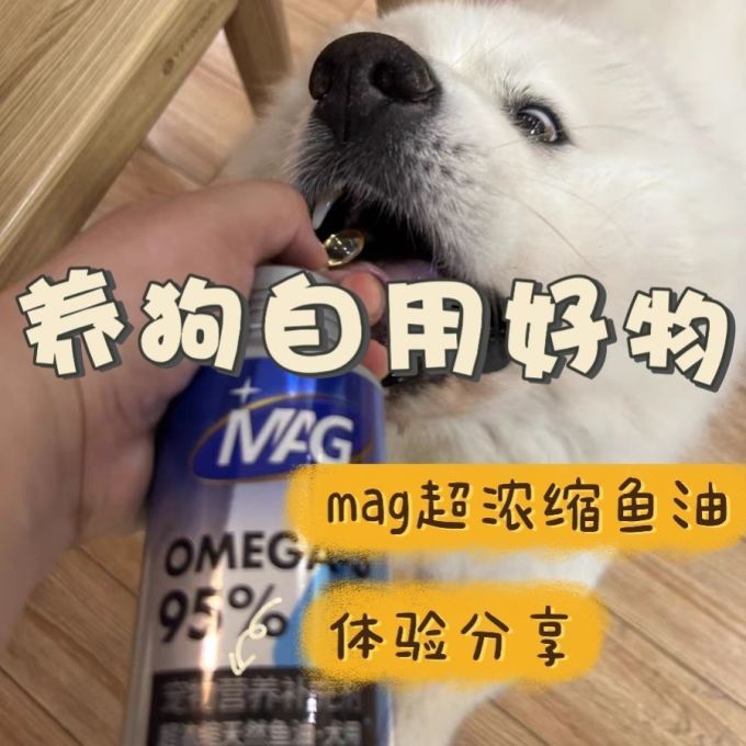 宠物护肤美毛