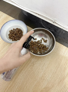 🔥回购N次的宠物保健品！鱼油是真真真的值得入