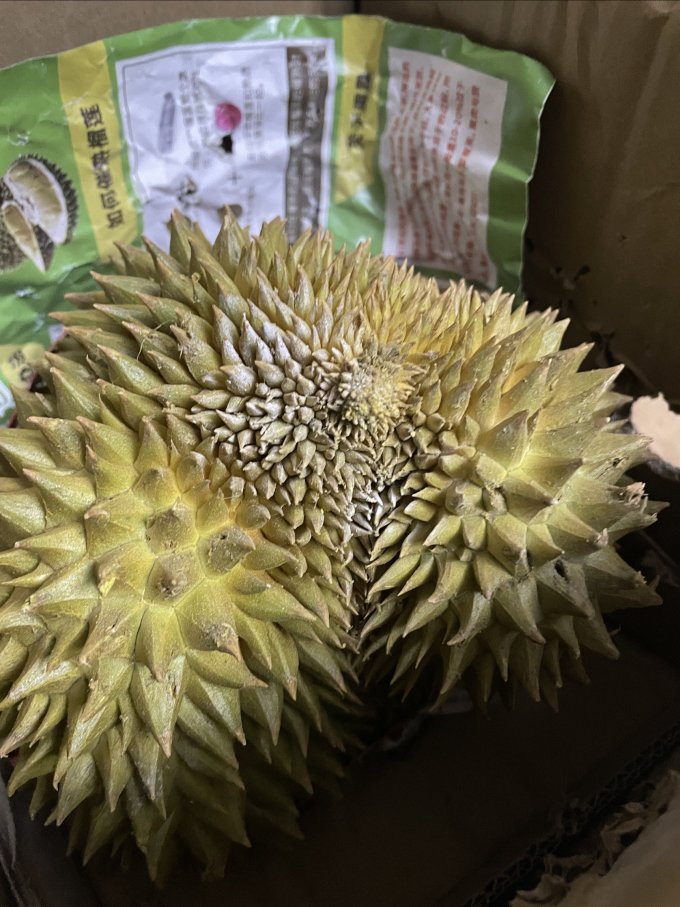 蜜企味新鲜水果