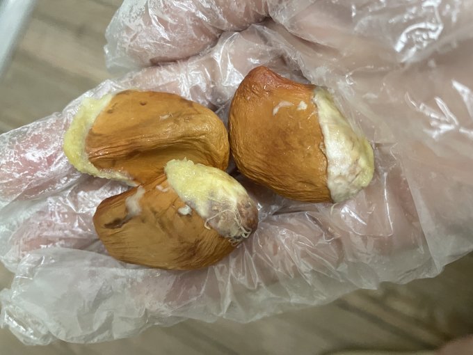 蜜企味新鲜水果