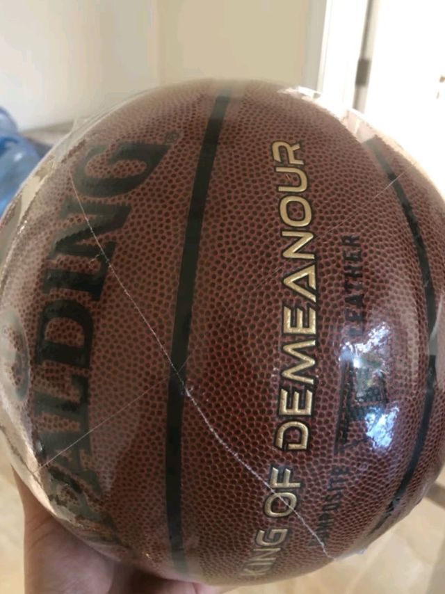 斯伯丁(SPALDING)篮球TF系列7号