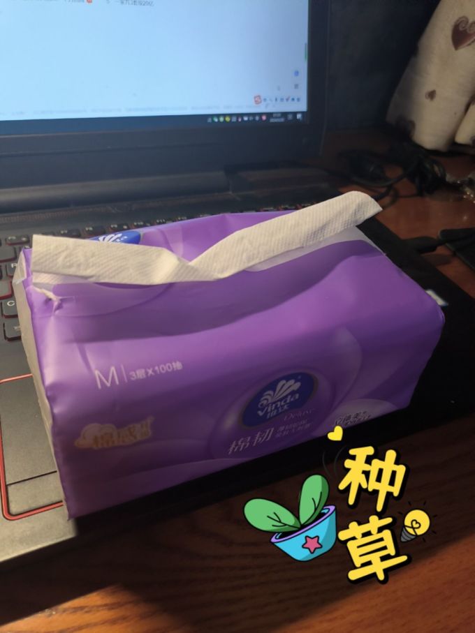 维达抽纸