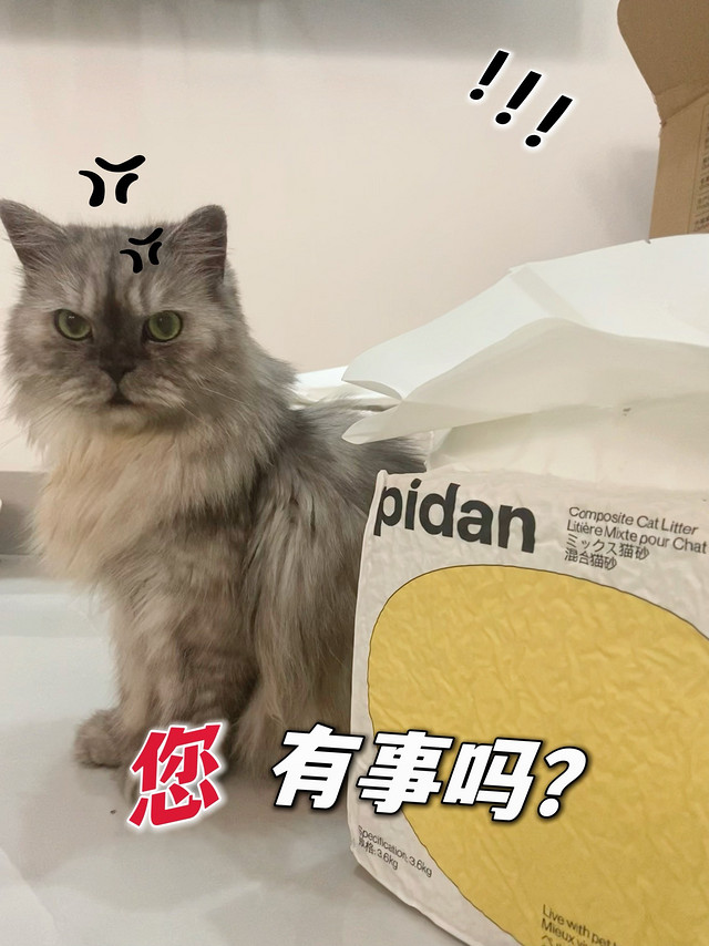 8包pidan猫砂，够拉一段时间了吧