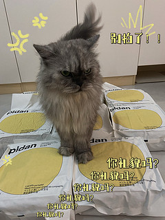 8包pidan猫砂，够拉一段时间了吧