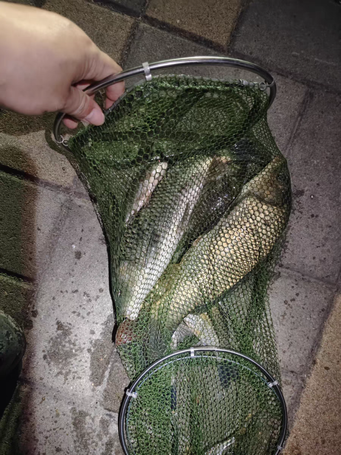 北沧飞鲨鱼竿