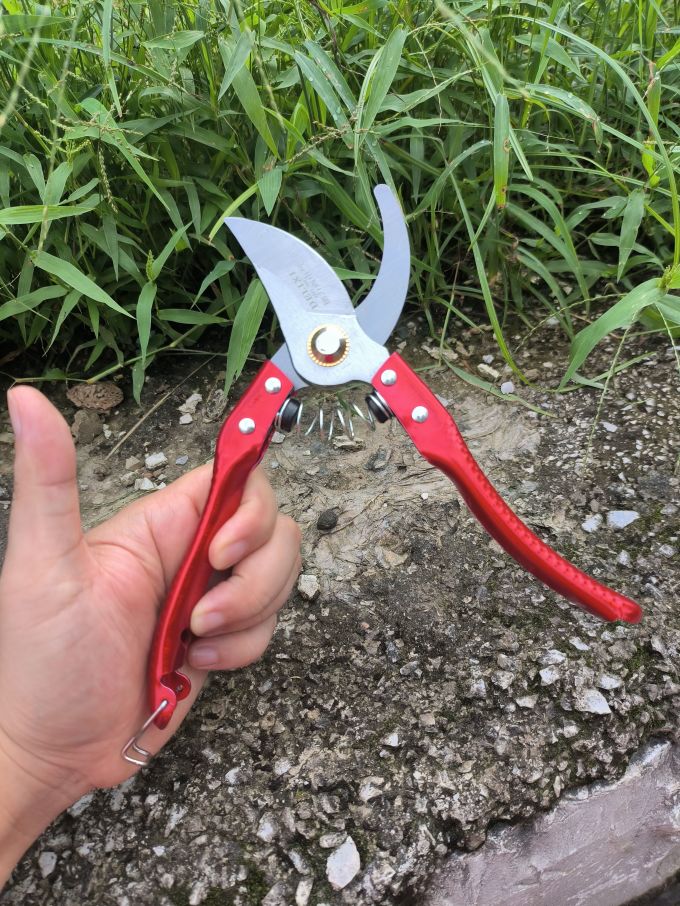 德力西修剪工具
