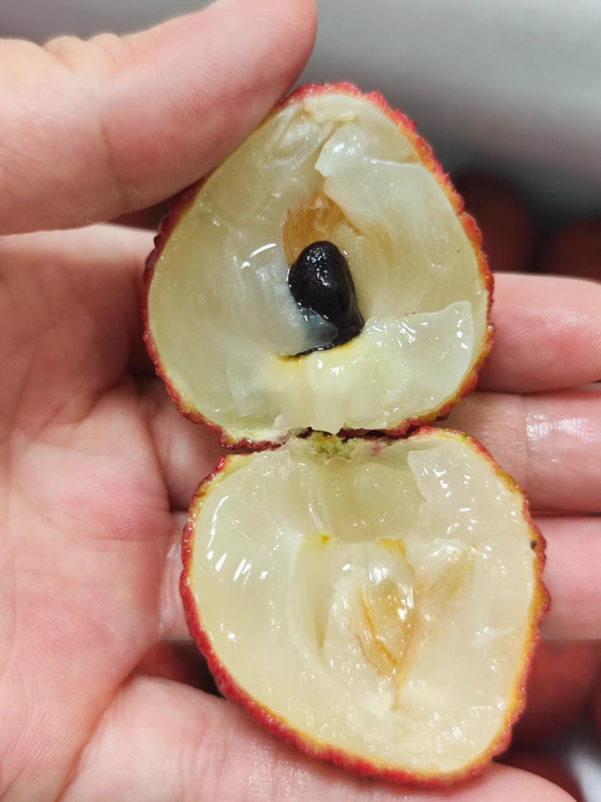 顶掌柜新鲜水果