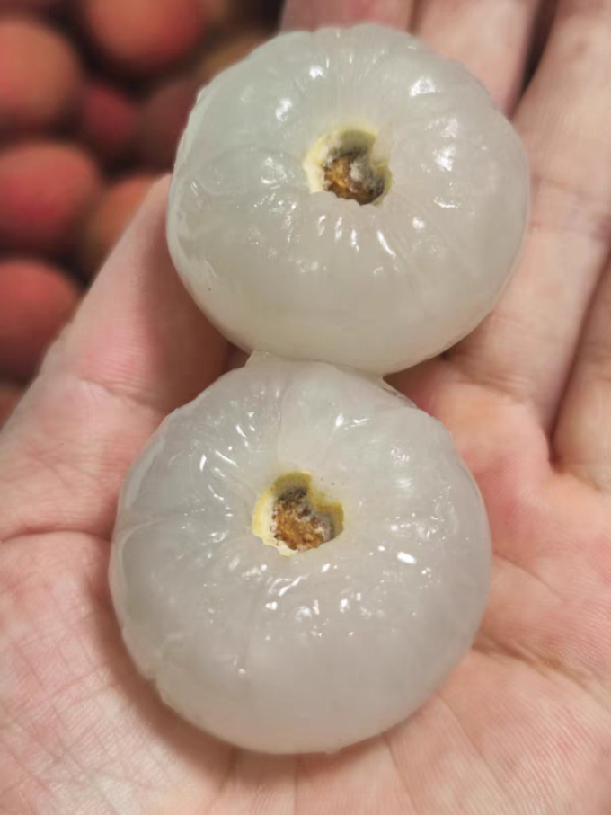 顶掌柜新鲜水果