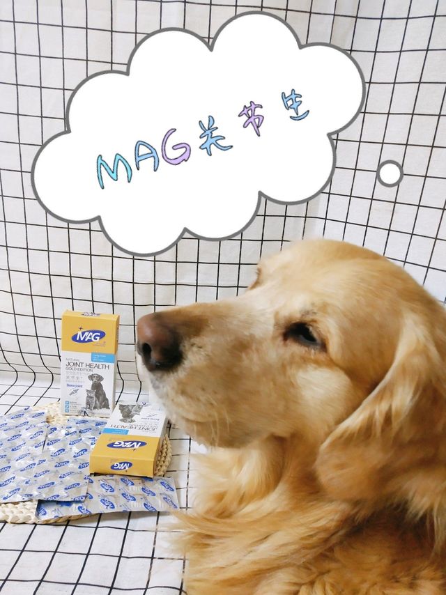 狗奴必备！MAG关节生，让爱宠更健康