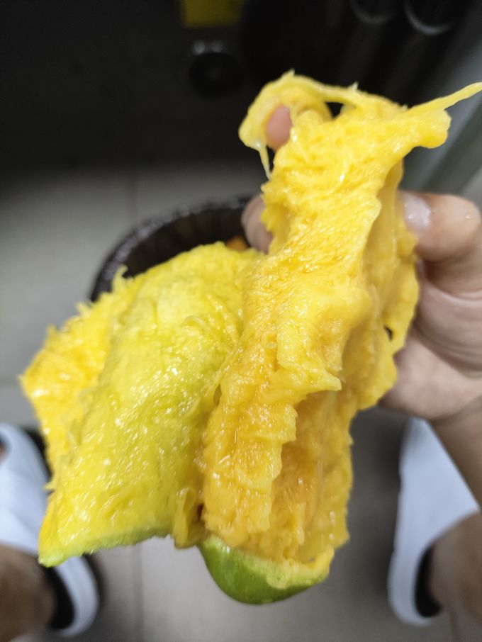 乌岽山芒果