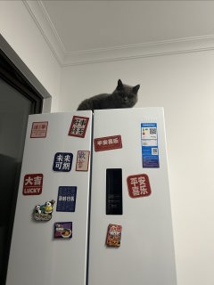 美的冰箱到手奈斯！618活动价格也划算。