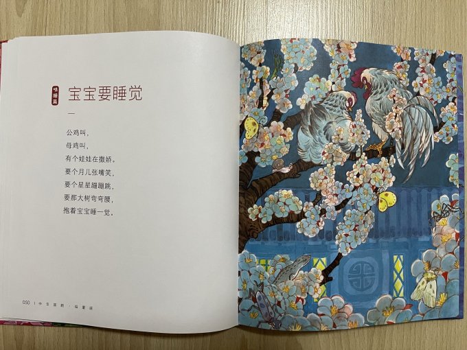 绘本/图画书