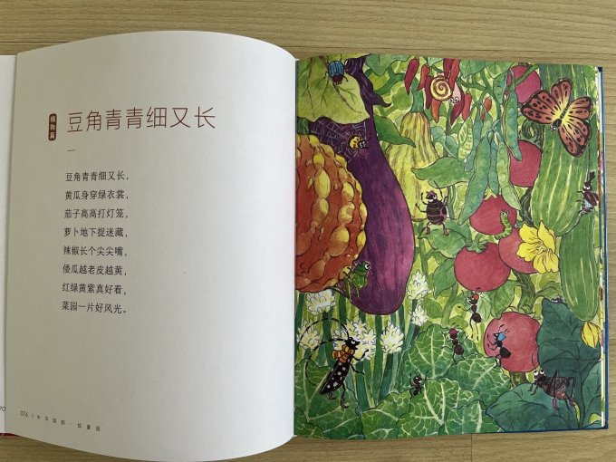 绘本/图画书