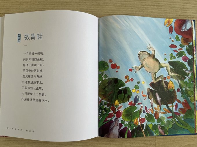 绘本/图画书