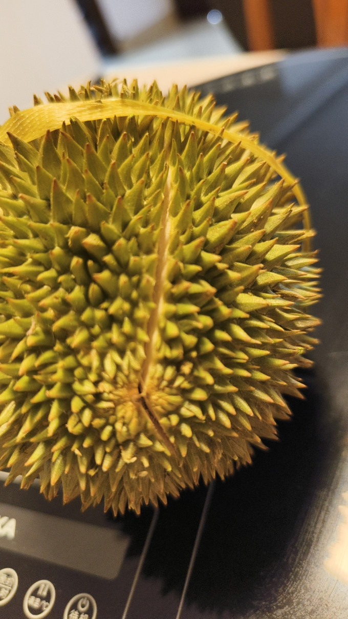 隆盛斋榴莲