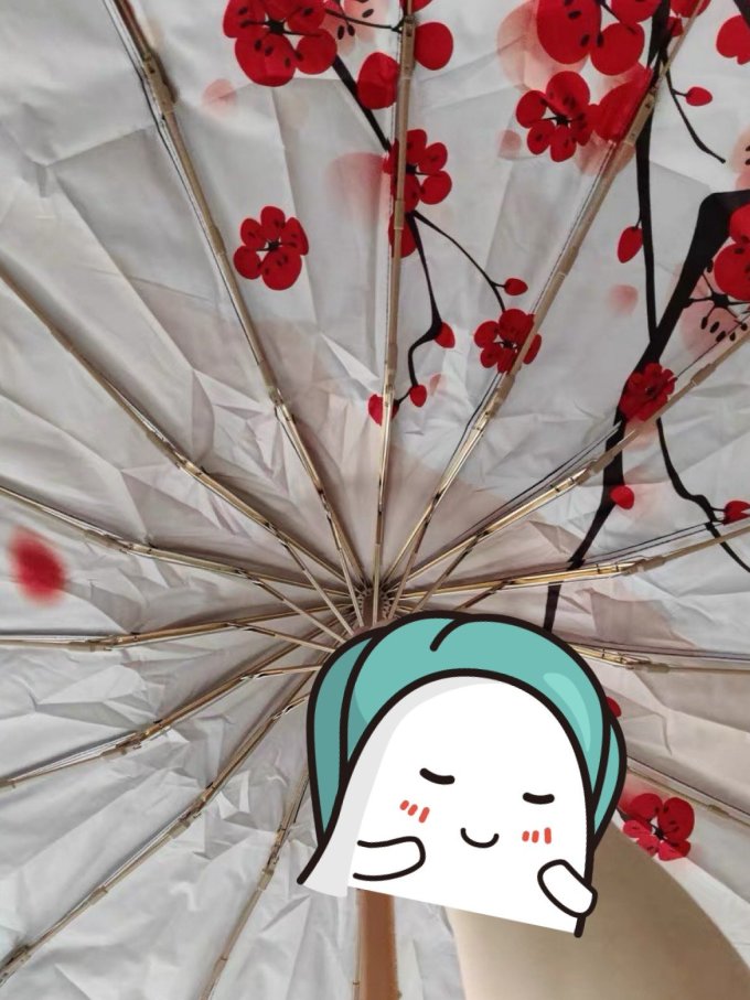 雨伞