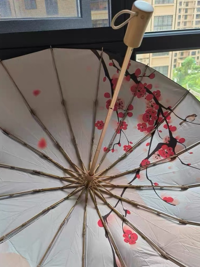 雨伞