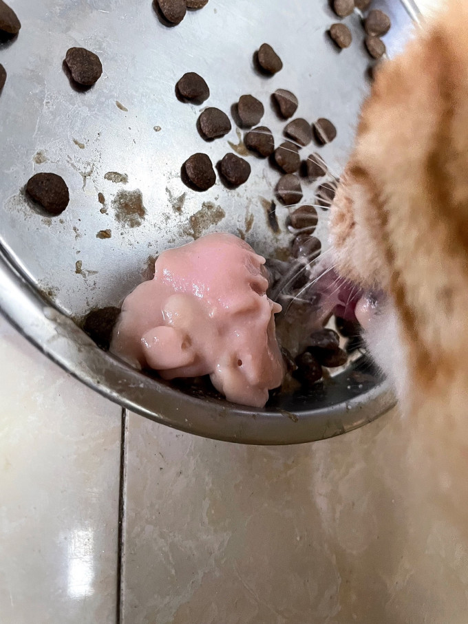 多特思猫咪肉质零食