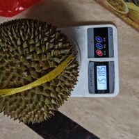 香喷喷圆滚滚的榴莲