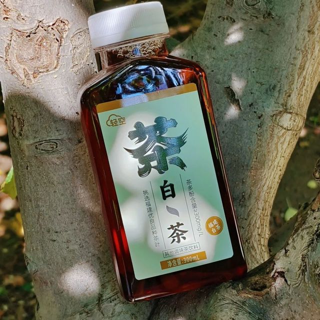 具有福建气质的白茶🍵