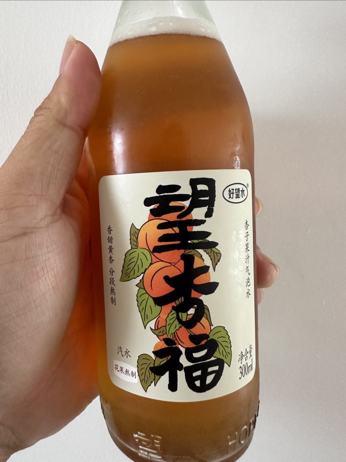 好望水果汁饮料