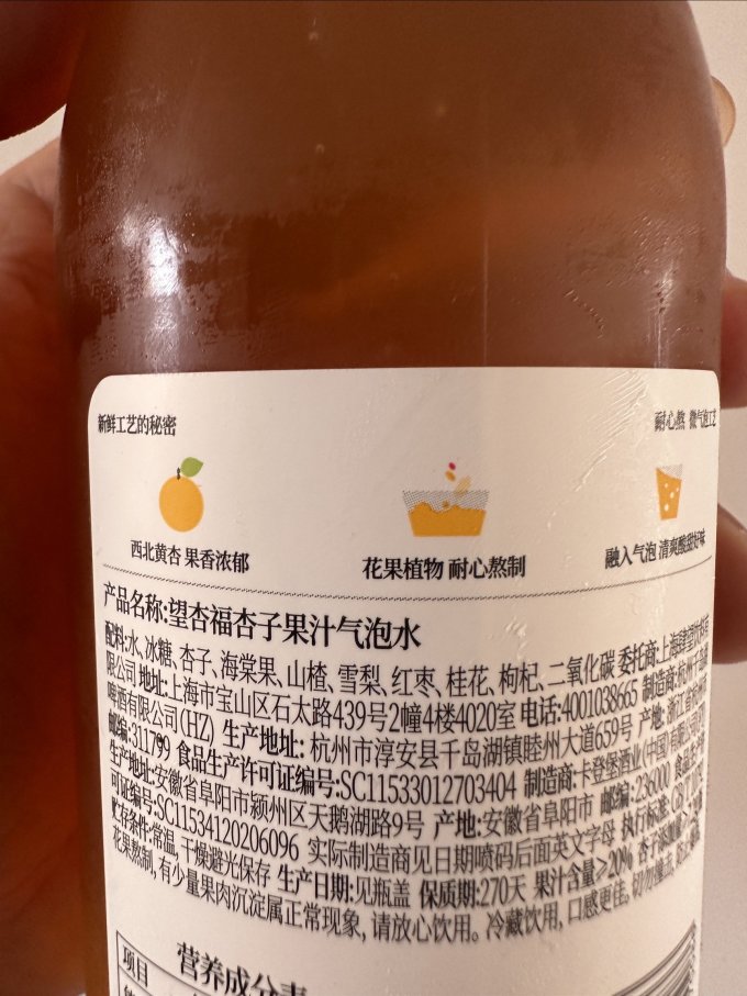 好望水果汁饮料